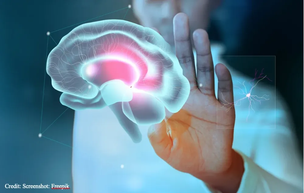 Neuroscience