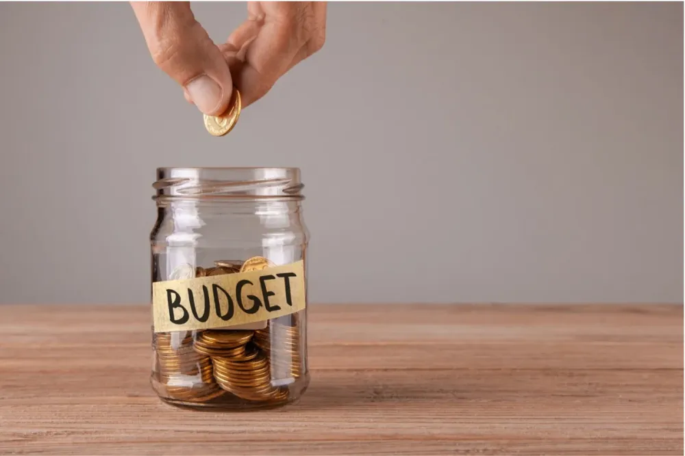Navigate Budget Allocation